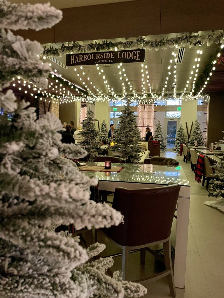 Harbourside Ski Lodge photo