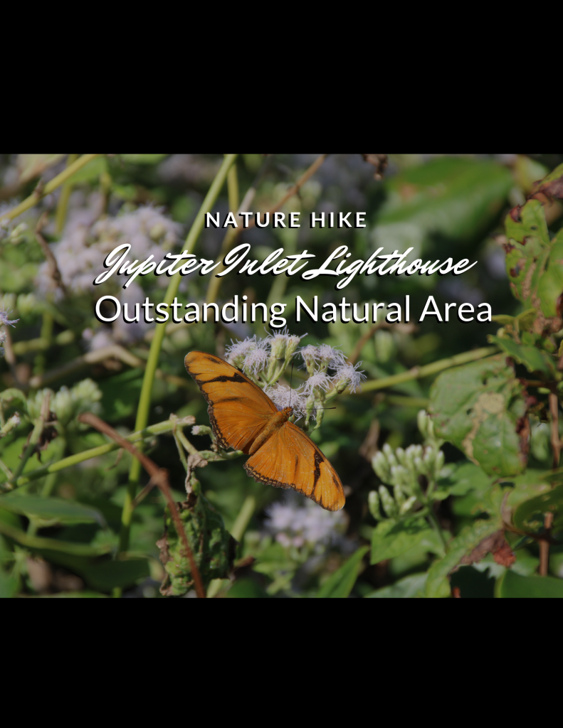 Nature Hike – Jupiter Inlet Lighthouse Outstanding Natural Area w/ River Center photo