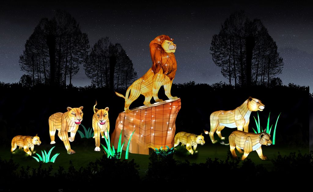 Lanterns & Lights Safari Nights photo