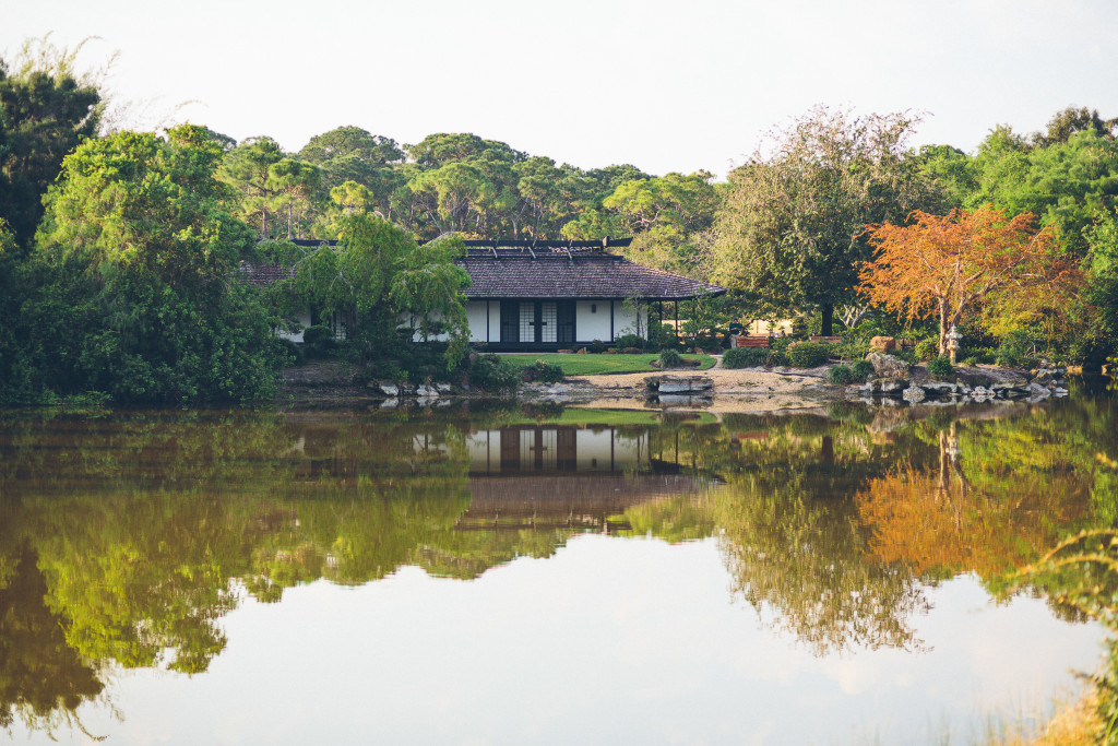 Sunset Stroll at Morikami Museum and Japanese Gardens​ photo