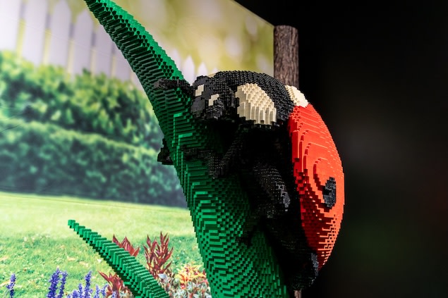 Sean Kenneys Foto von „Brick Planet“