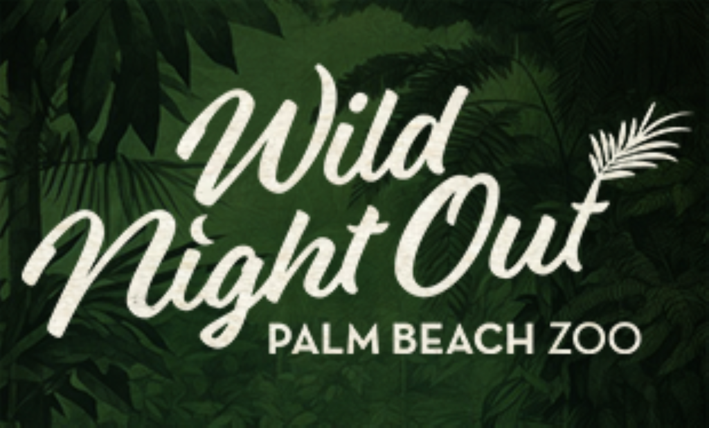 Wild Night Out – Paws & Santa Clause photo