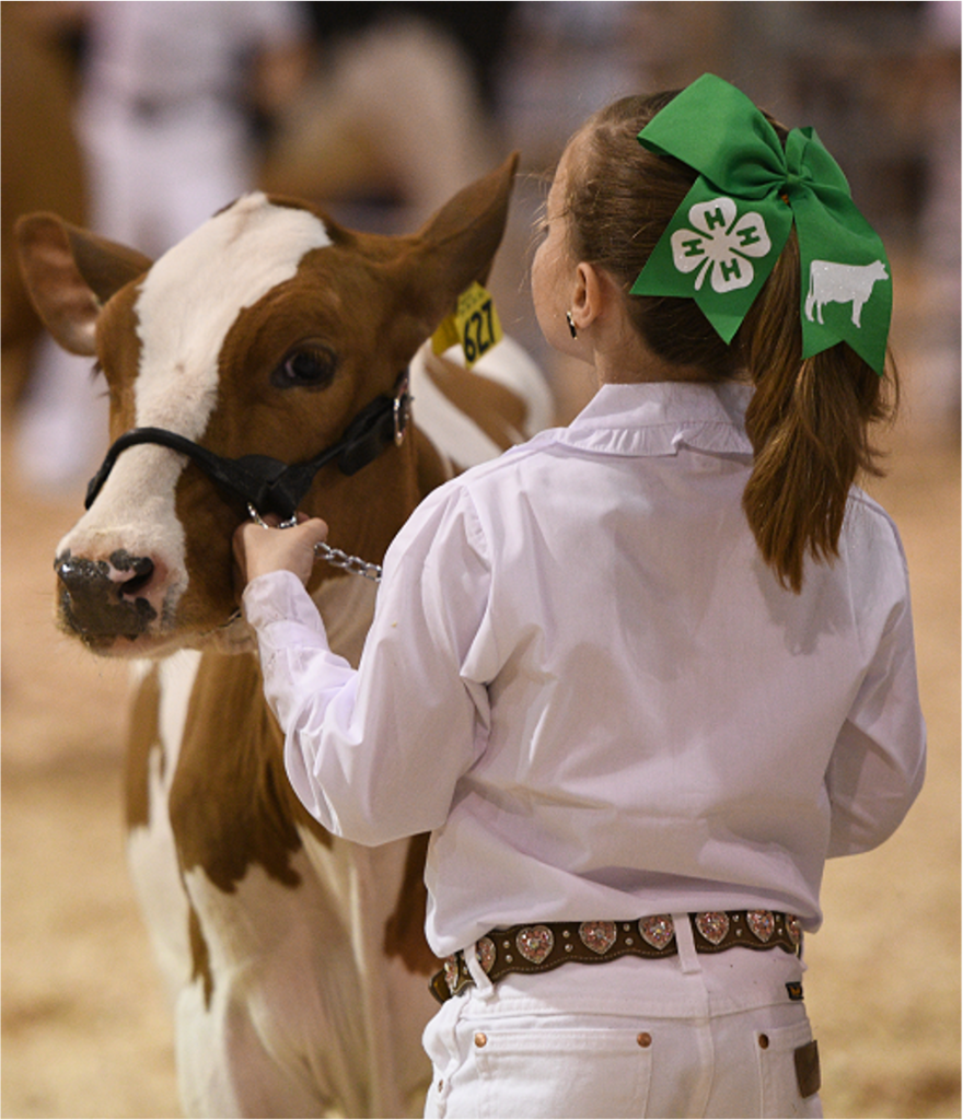 South Florida Fair photo