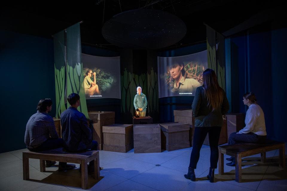 Becoming Jane: The Evolution of Dr. Jane Goodall photo