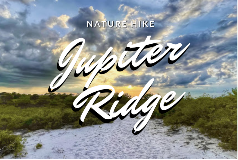 Sunset Nature Hike: Jupiter Ridge photo