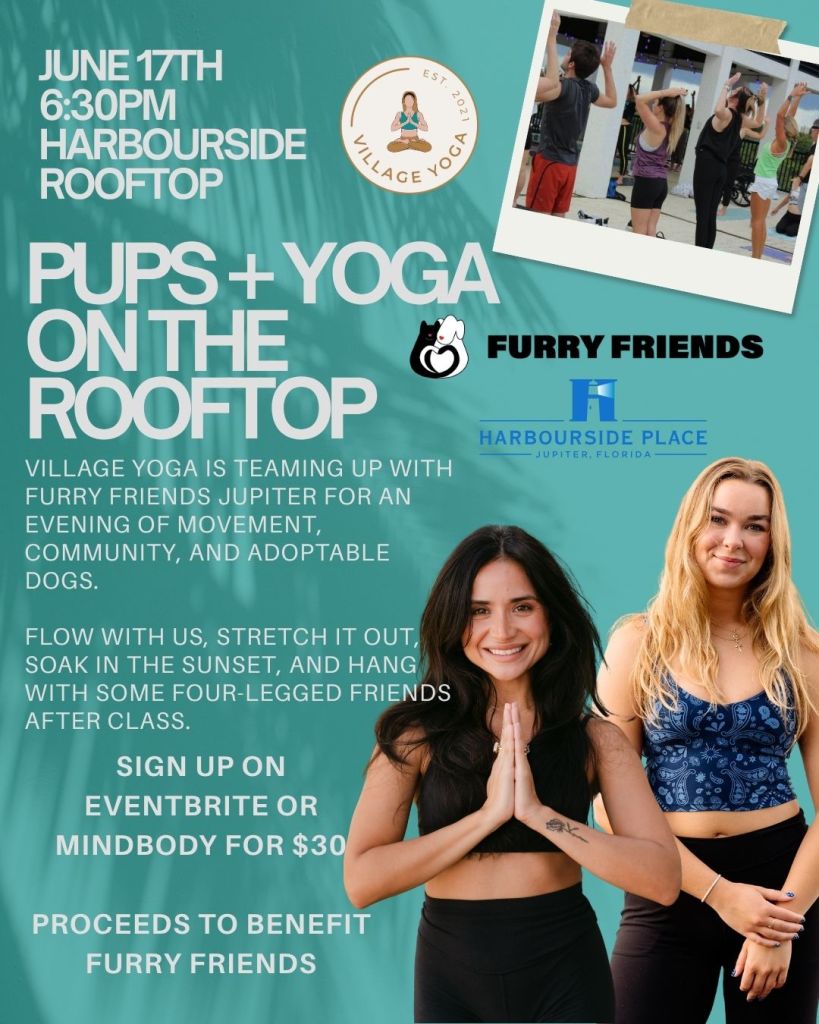 Foto de «Cachorros y yoga en la azotea»