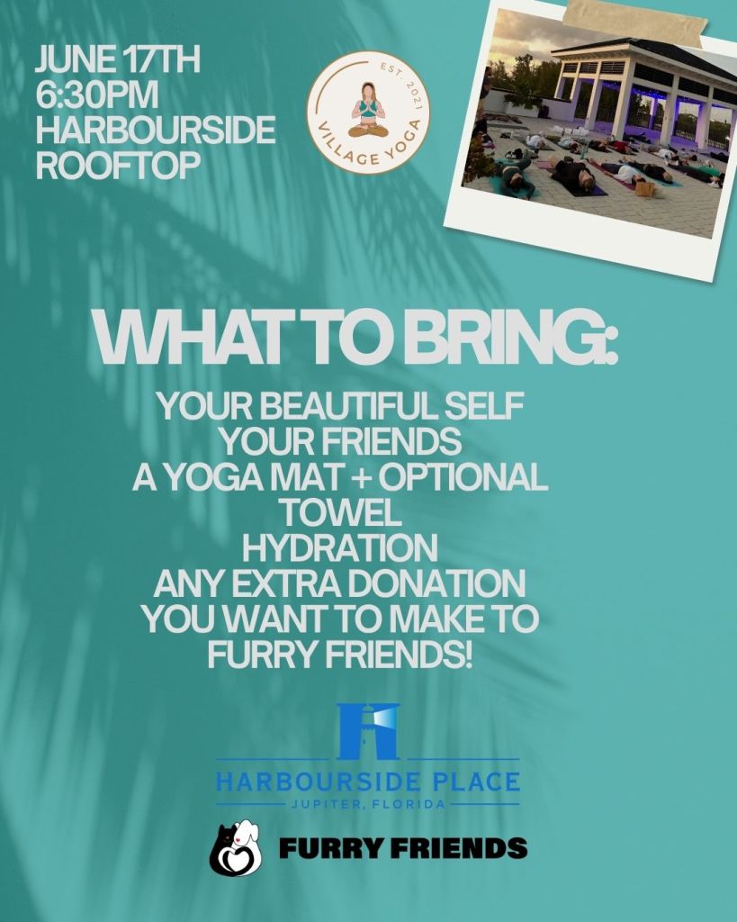 Foto de «Cachorros y yoga en la azotea»