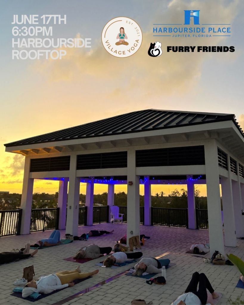 Foto de «Cachorros y yoga en la azotea»