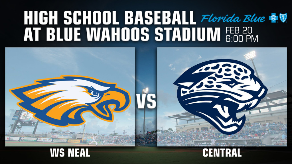 High School Baseball: WS Neal vs. Central