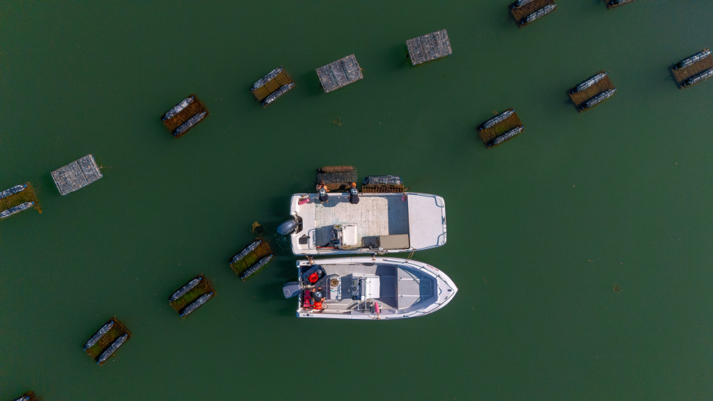 Boats at Oyster Farm. Photo Credit: Peter G. Morneau