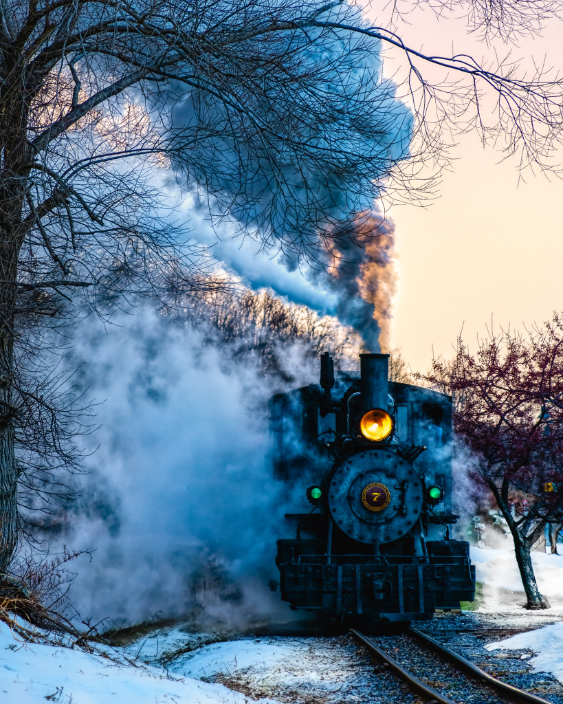 Train in Winter. Photo Credit: Darleen Frances