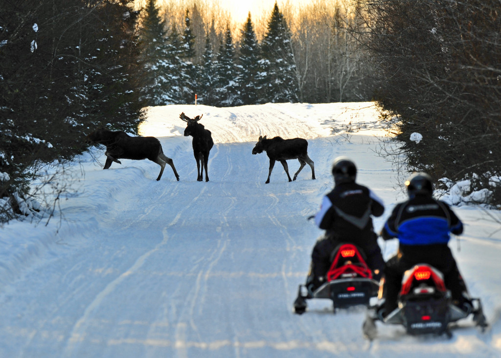 Snowmobiling. Photo Credit: Paul Cyr