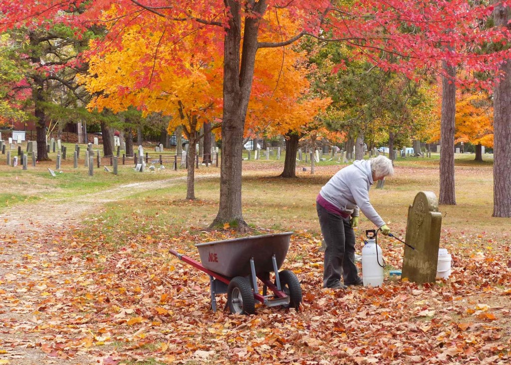 Western Cemetery in the fall. Photo Credit: Bill Shumaker