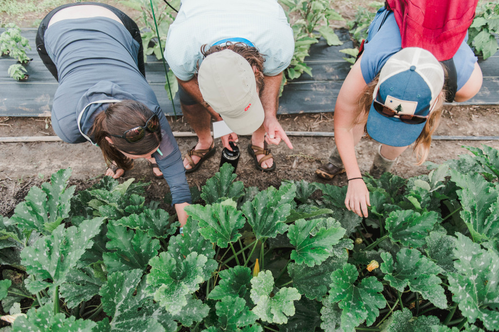 Gardening. Photo Credit: Christina Wnek