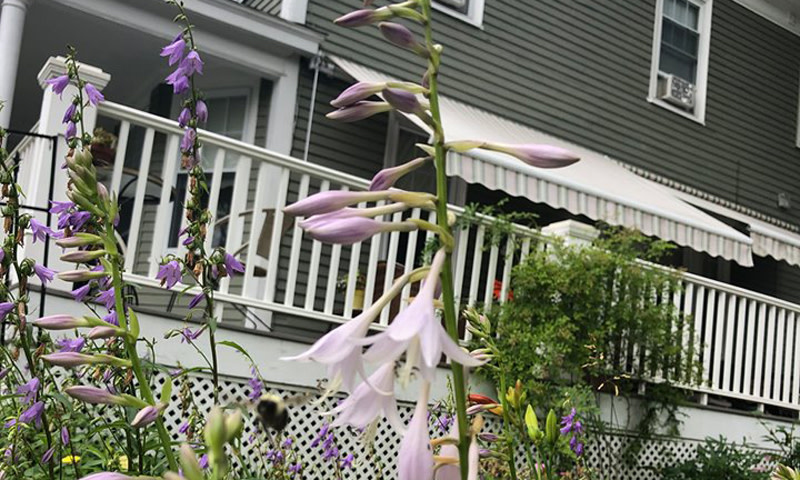 Exterior. Photo Credit: Fleetwood House Bed and Breakfast