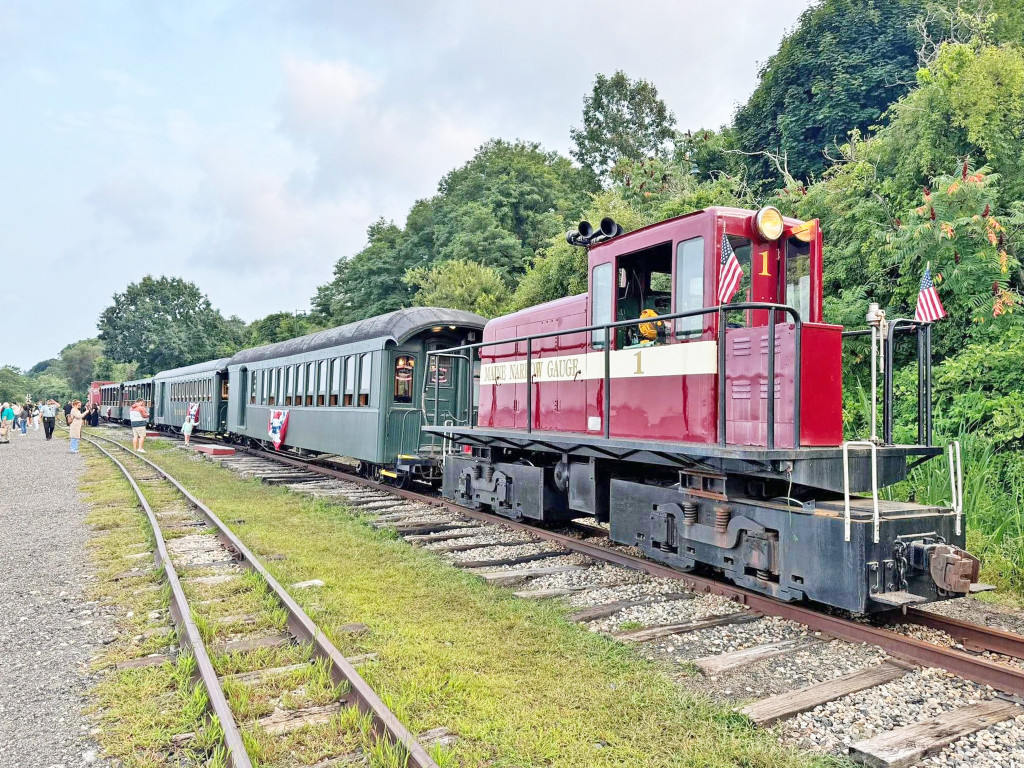 Train. Photo Credit: Bill Willis/Precious Escapes Photography