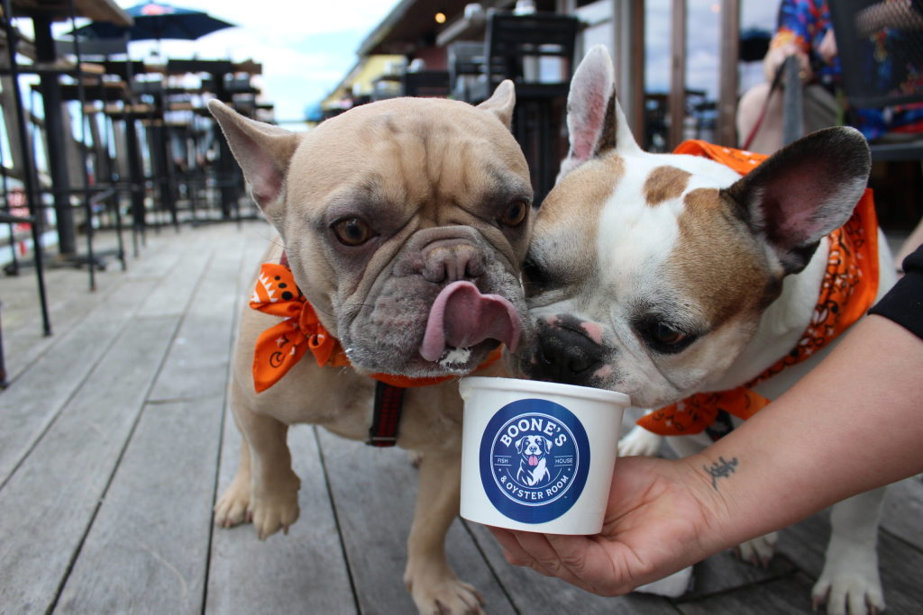 Yappy Hour. Photo Credit: Boone's Fish House & Oyster Room