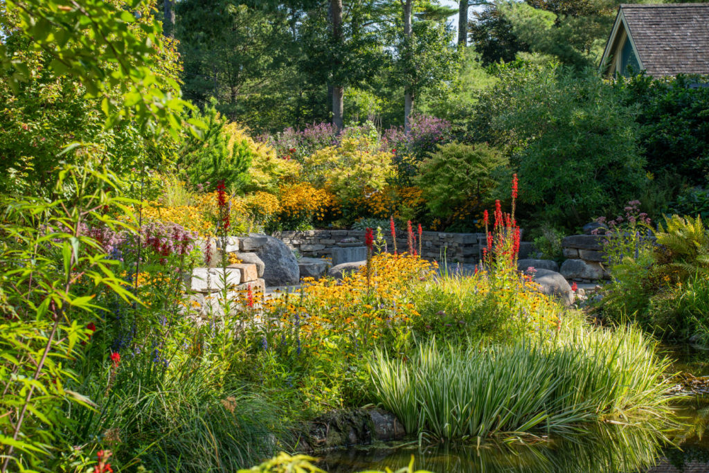Garden. Photo Credit: Coastal Maine Botanical Gardens