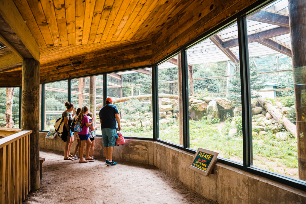 People looking at animals. Photo Credit: Maine Wildlife Park