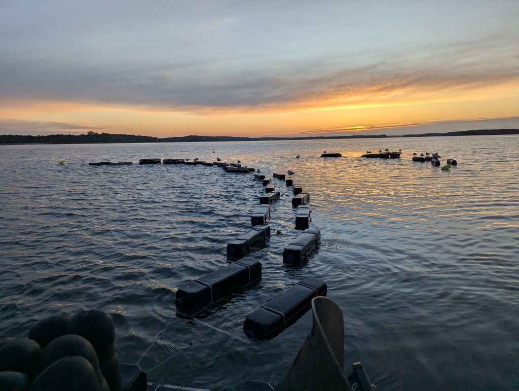 Oyster Farm. Photo Credit: Indigo Oyster Company