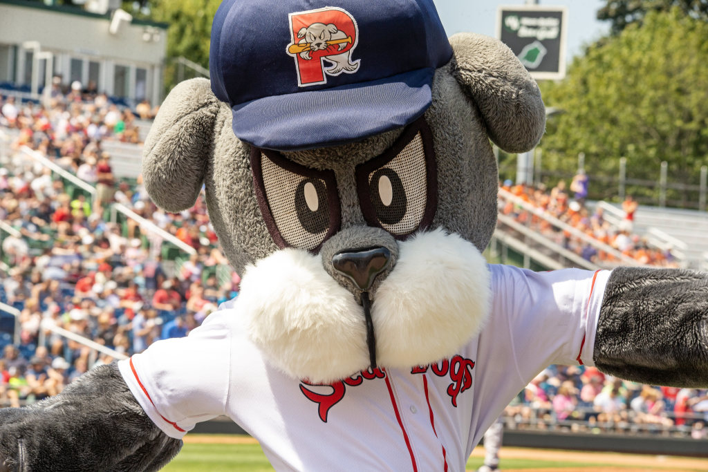 Slugger. Photo Credit: Portland Sea Dogs