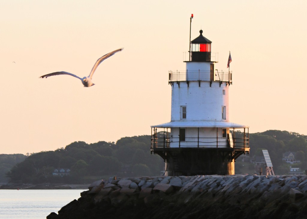 Spring Point Ledge Light. Photo Credit: Christina Napoli