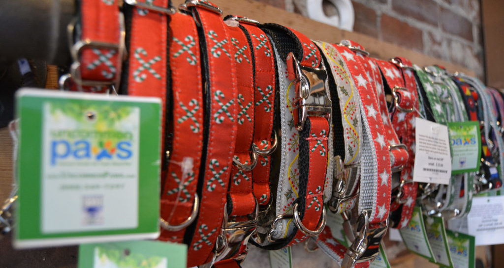 Collars. Photo Credit: Uncommon Paws