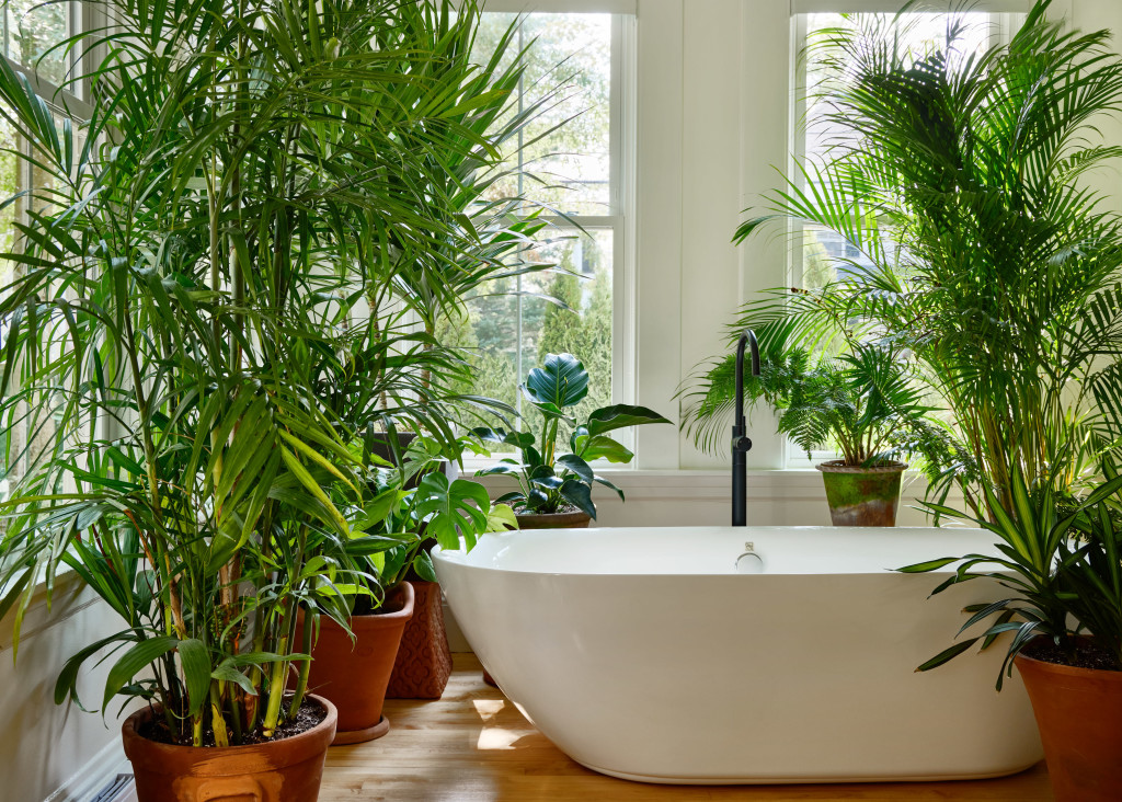 Bathtub. Photo Credit: Read McKendree