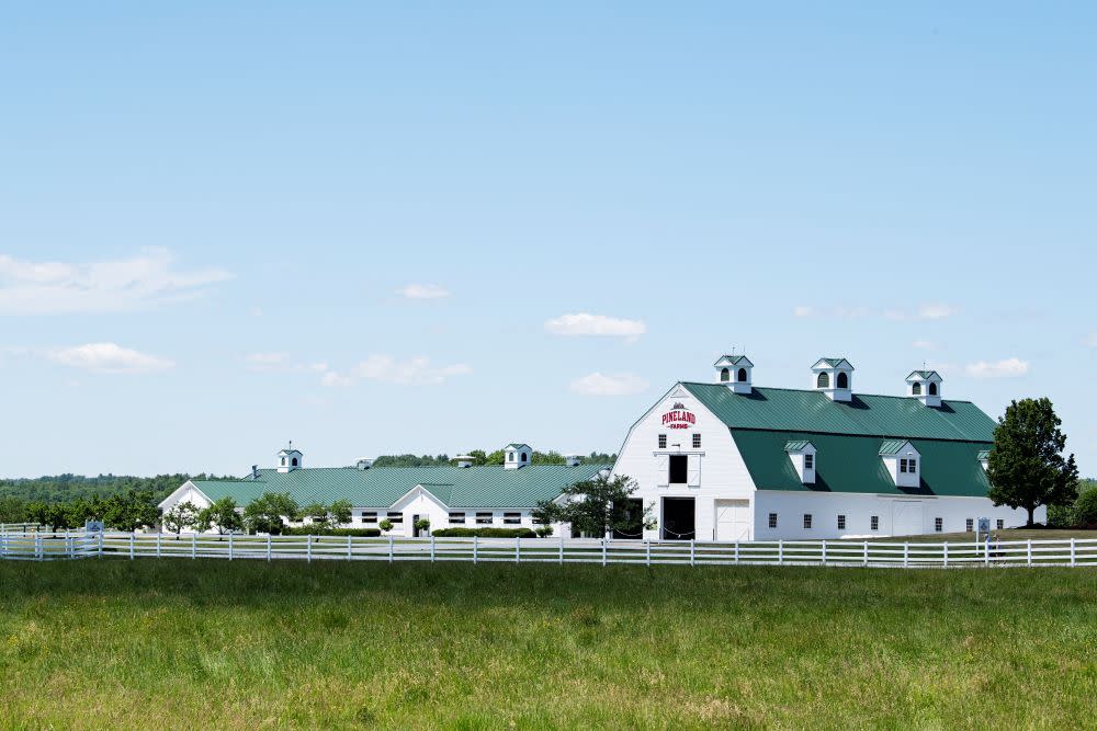 Pineland Farms. Photo Credit: Nicole Wolf