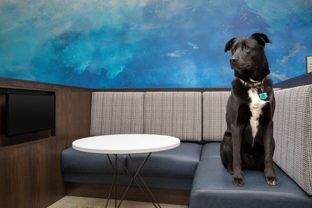 Pet Friendly. Photo Credit: Travel Industry Photos / Brett Patterson