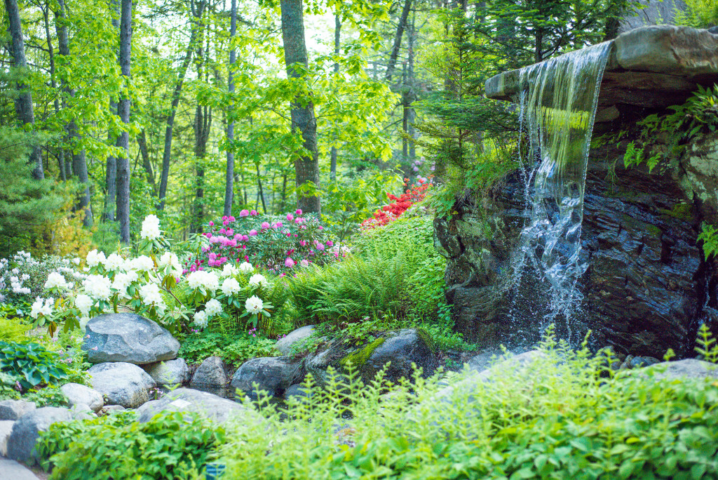 Garden. Photo Credit: Coastal Maine Botanical Gardens