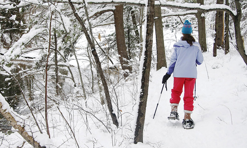 Snowshoeing. Photo Credit: Jill Brady