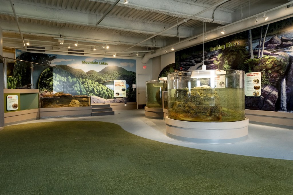 Aquarium. Photo Credit: Sean Alonzo Harris