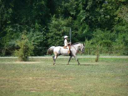 Cannon - Rider, Horse, Field