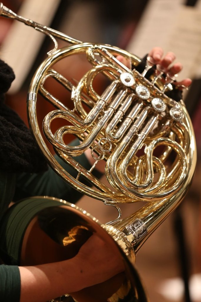 Philharmonic - French Horn