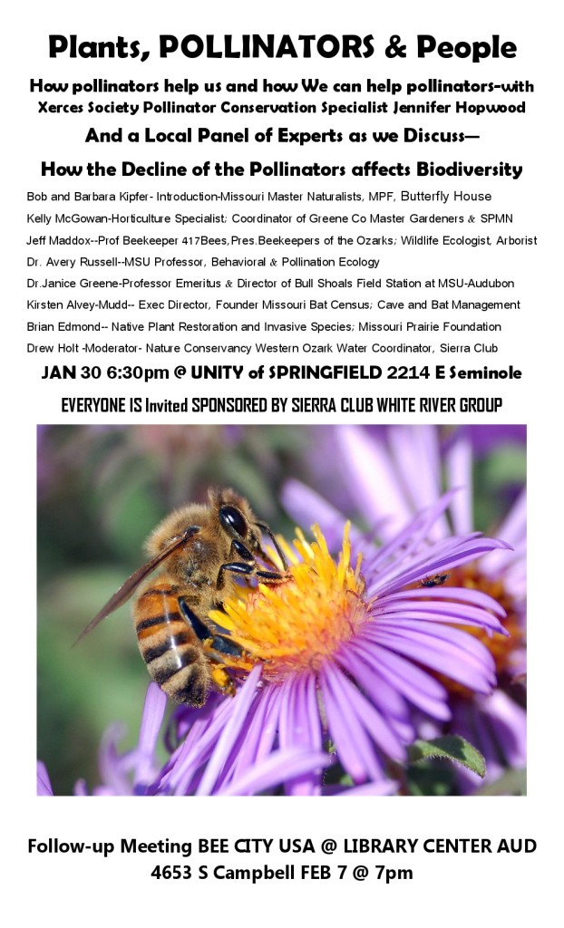 Plants Pollinators & People How Pollinators Help Us and Plants Pollinators & People How Pollinators Help Us and