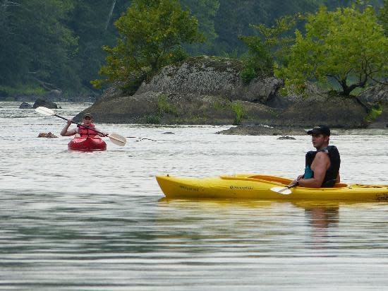 Cape Fear River Adventures – photo 2