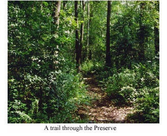 Bluethenthal Wildflower Preserve – photo 4