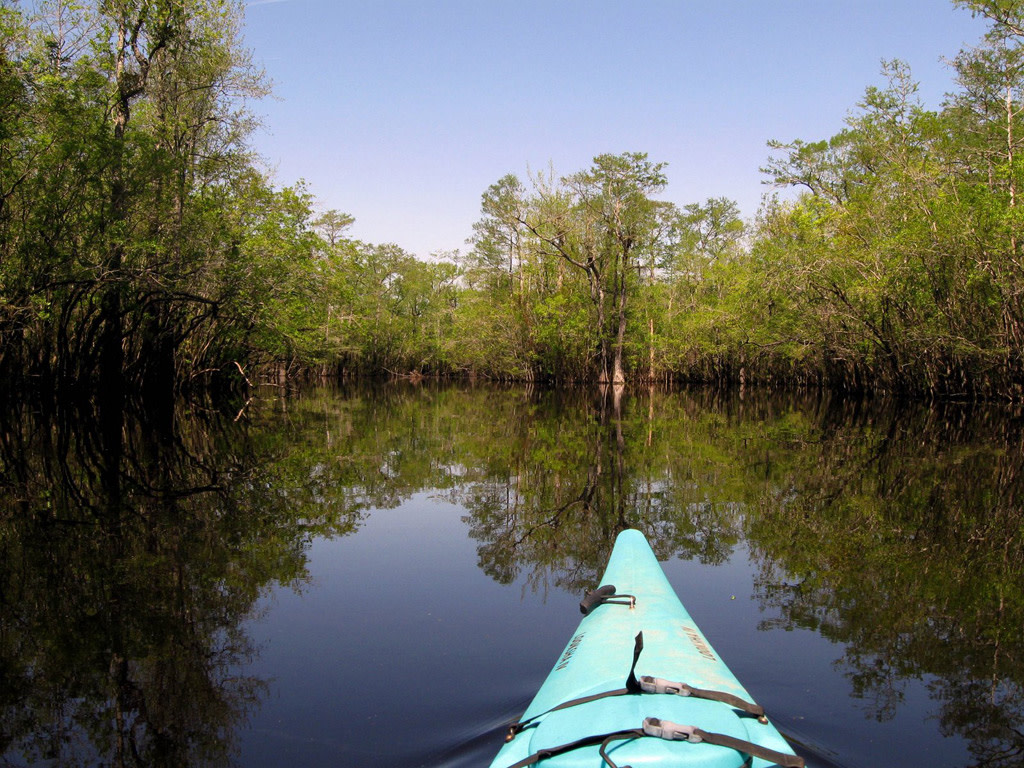 Cape Fear River Watch – photo 1