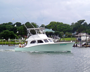 Whipsaw Charters – photo 3