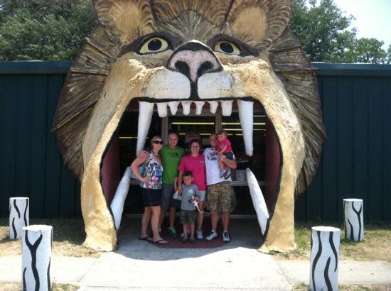 Tregembo Animal Park – photo 1