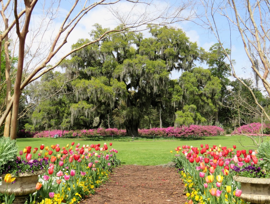 Airlie Gardens – photo 3