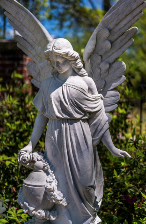 Oakdale Cemetery – photo 3