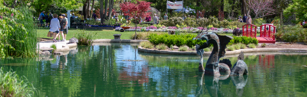 New Hanover County Arboretum – photo 3