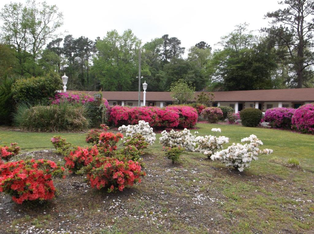 Azalea Inn & Suites – photo 1