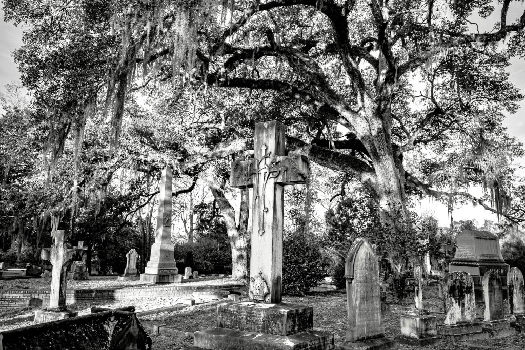 Oakdale Cemetery History Walking Tour