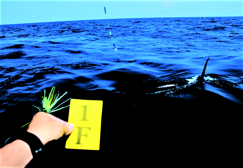 Cape Fear Blue Marlin Tournament – photo 2