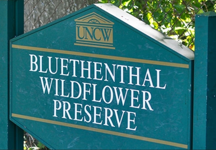 Bluethenthal Wildflower Preserve – photo 2