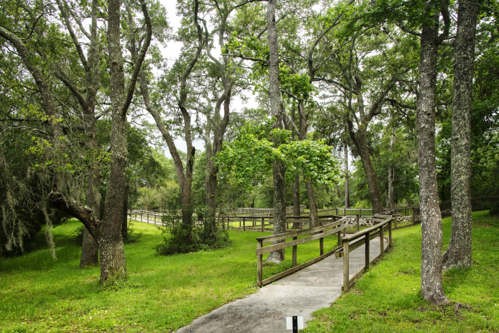Brunswick Town/Fort Anderson – photo 4