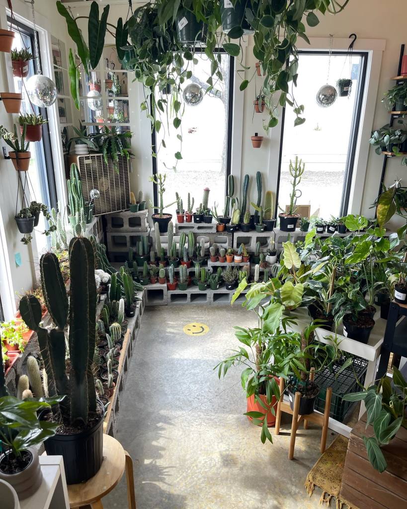 The Plant Outpost – photo 2